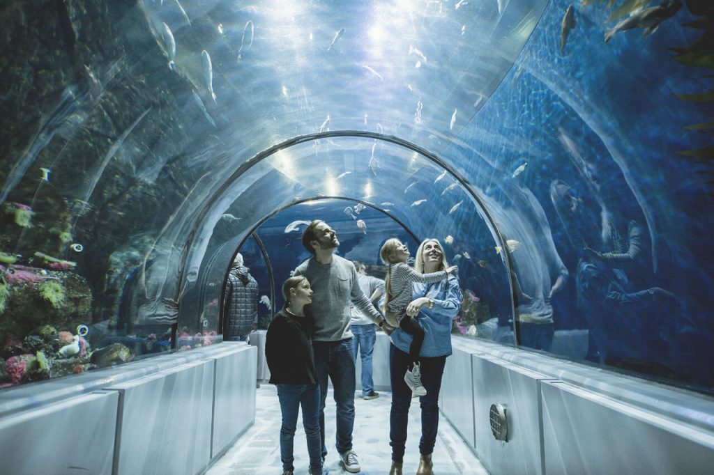 Le tunnel sous-marin de l'Aquarium de Québec
